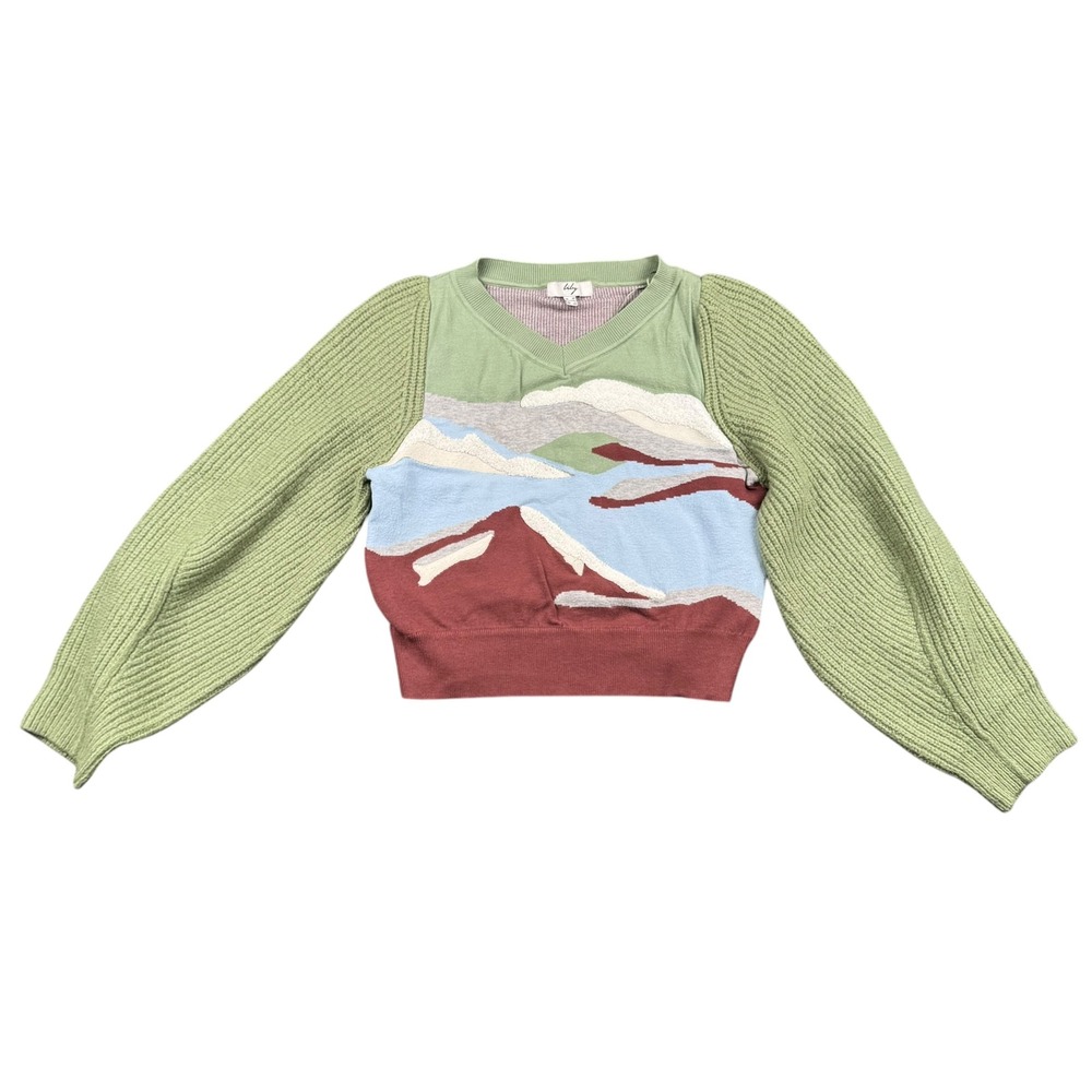 Lily Landscape Scenic Knit Cropped Sweater Colorblock Artsy Boho V Neck XS‎ 936